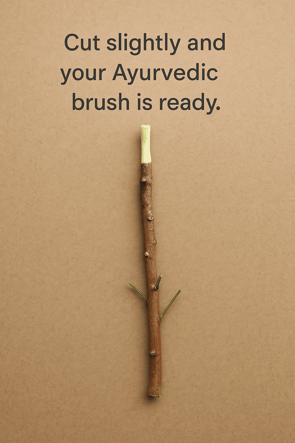Natural Neem Datun Sticks (Pack of 15) Thumbnail 4